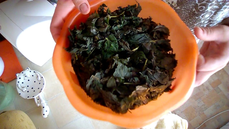 Comment fermenter les feuilles de framboise à la maison