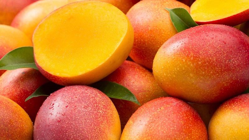 Comment déterminer le degré de maturité d'une mangue et faire mûrir le fruit à la maison