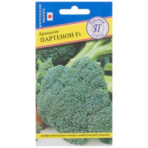 Hybride à haut rendement à maturation tardive du chou brocoli Parthenon F1