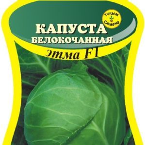 Un hybride précoce de chou Etma f1 avec un goût excellent