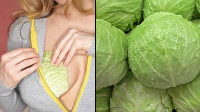 Chou de mastopathie: traitement avec des méthodes alternatives, avis