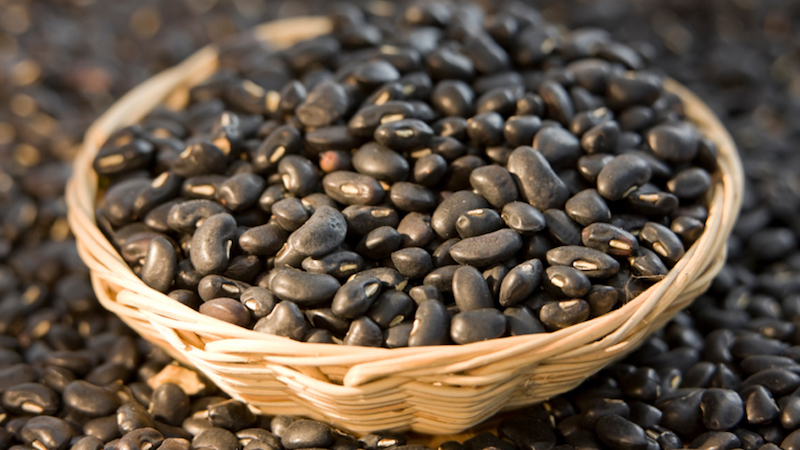 Variétés et variétés de haricots: cheval (jardin), décoratifs, légumes à gros fruits, fourrage