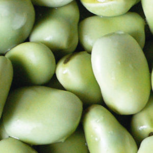 Variétés et variétés de haricots: cheval (jardin), décoratifs, légumes à gros fruits, fourrage