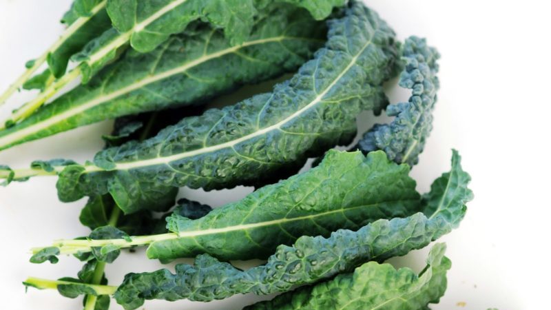 Kale: photo, description des variétés, technologie de collecte