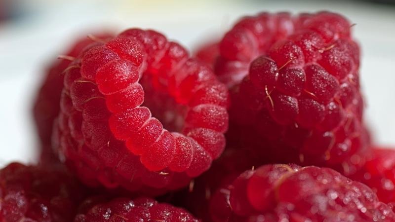 Les meilleures variétés de framboises à gros fruits