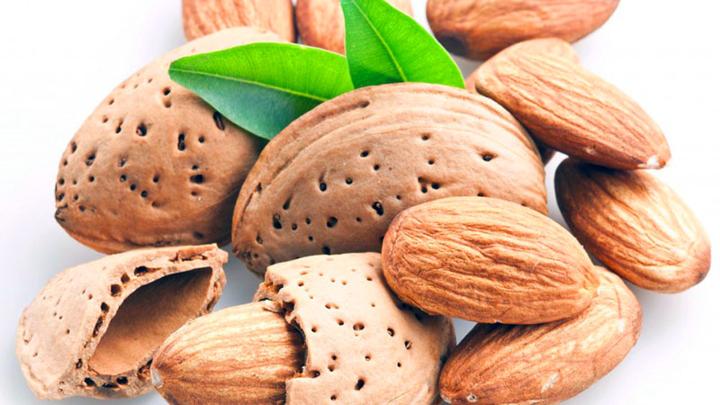 Les amandes sont-elles la meilleure noix pour les femmes?
