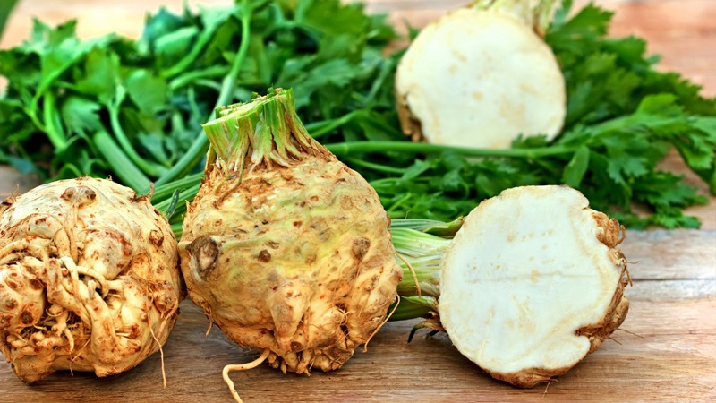 Examen des meilleures variétés de céleri racine