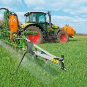 Top dressing du blé d'hiver: méthodes et taux de fertilisation