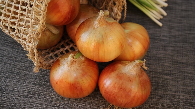 Guide étape par étape pour faire pousser des oignons à partir de graines en une saison sans tracas