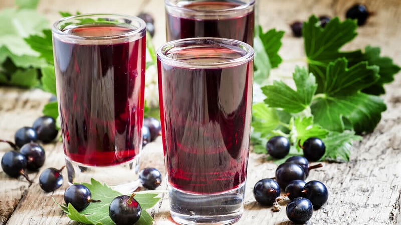 Feuilles de cassis - propriétés utiles et médicinales