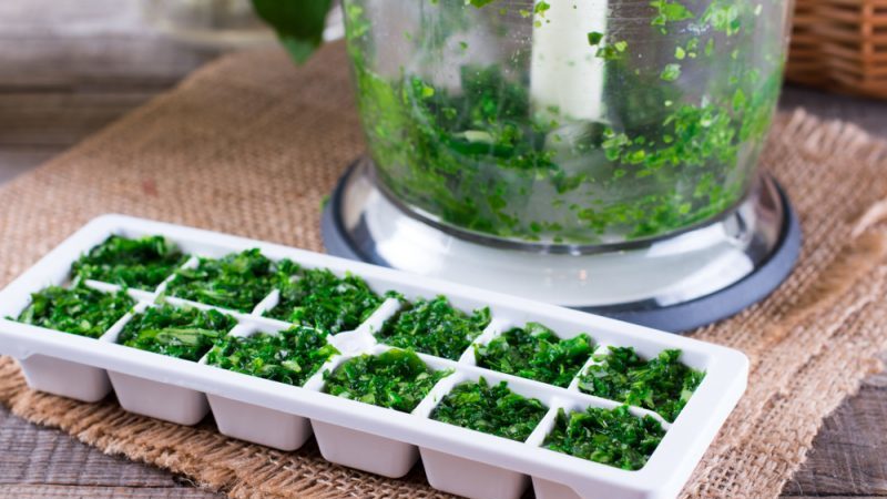 Comment conserver le basilic frais au réfrigérateur