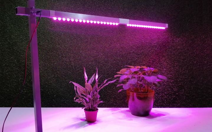 Choisir un phytolamp pour les semis