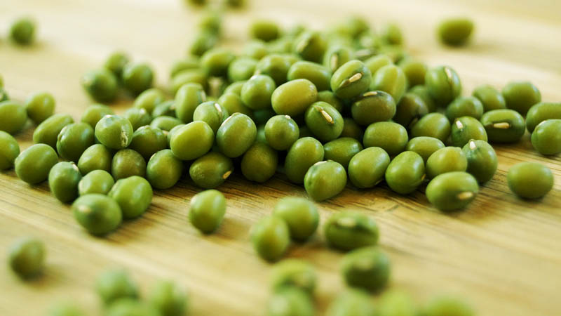 Haricots mungo verts - ce qu'ils sont et comment ils sont utiles
