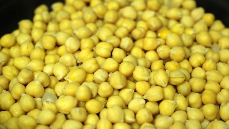 Les variétés de pois chiches les plus populaires - description et caractéristiques