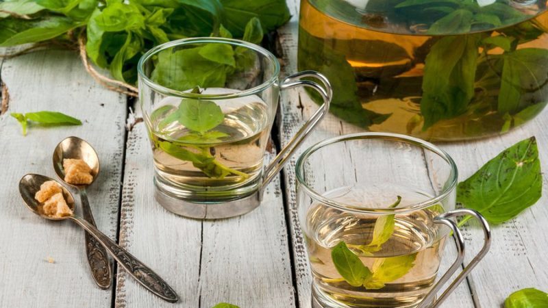 Pourquoi le thé au basilic est-il utile et quelles recettes sont les plus délicieuses