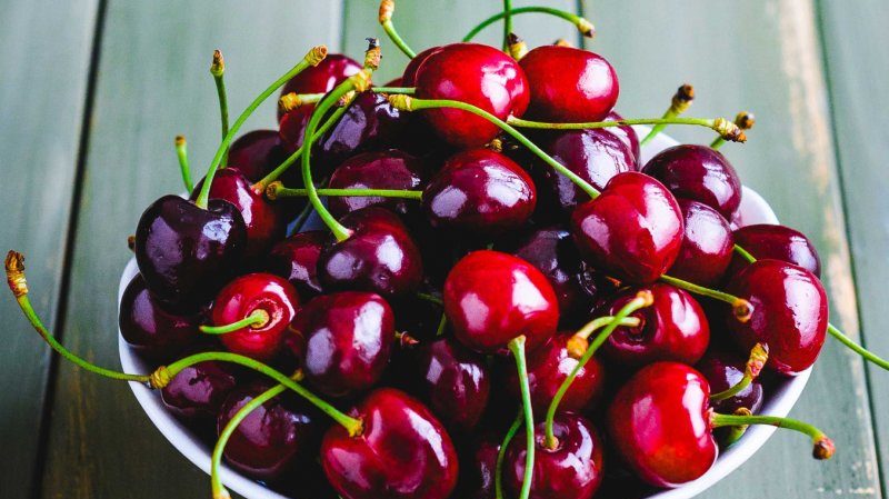 Variété sans prétention à gros fruits de cerise en forme de colonne Sylvia