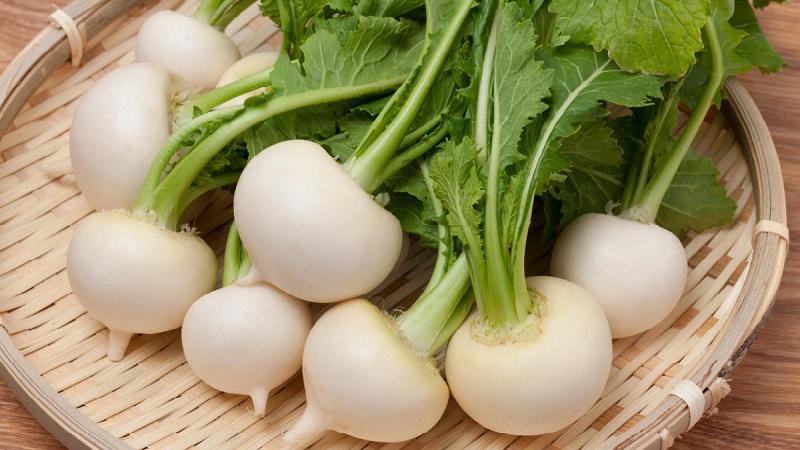 Qu'est-ce que le navet, à quoi il ressemble sur la photo, comment le cuisiner et le manger