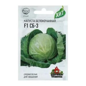 Hybride de chou rustique mi-saison SB 3 F1