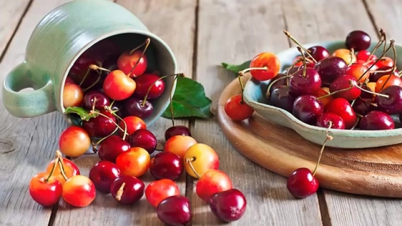 Recommandations sur la façon de conserver les cerises à la maison fraîches et transformées