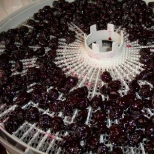 Recommandations sur la façon de conserver les cerises à la maison fraîches et transformées