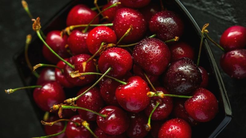 Recommandations sur la façon de conserver les cerises à la maison fraîches et transformées