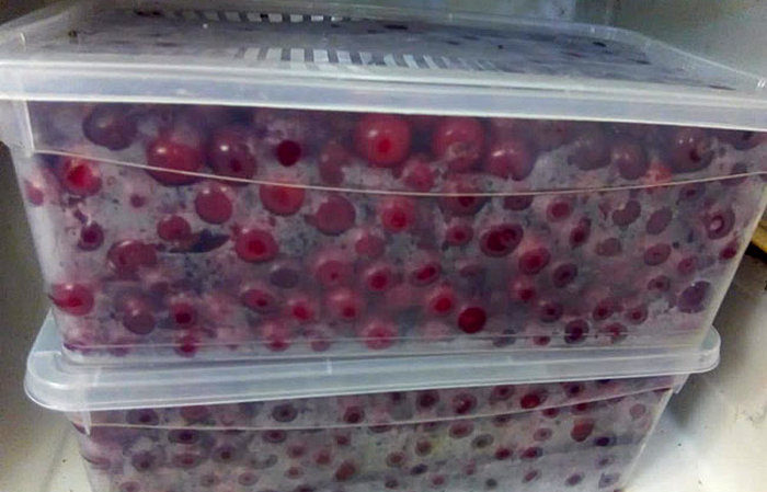 Recommandations sur la façon de conserver les cerises à la maison fraîches et transformées