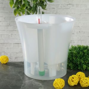 Comment transplanter correctement le citron à la maison