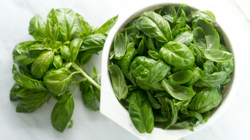 Citron basilic: description, culture, application