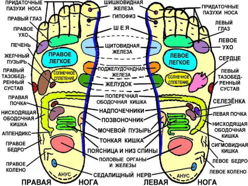 Utiliser des oignons dans des chaussettes à des fins médicinales