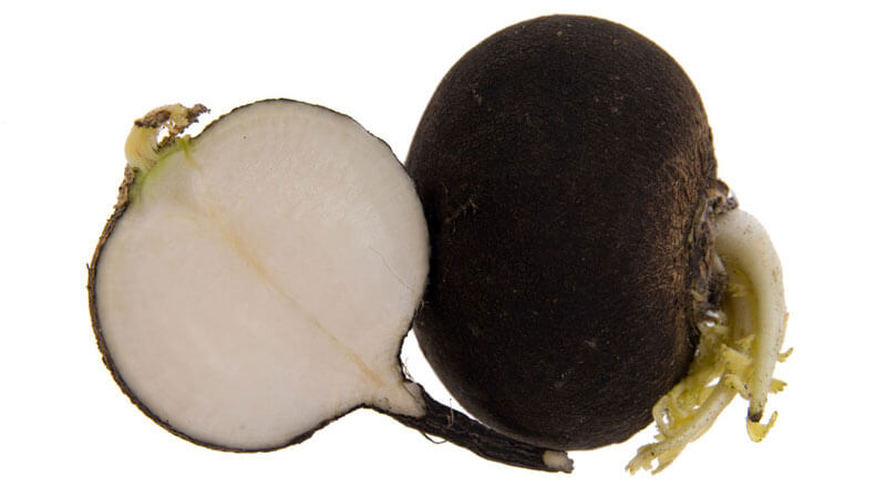 La différence entre les navets et les radis et les radis