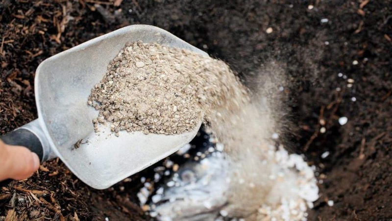 Avantages et inconvénients de la plantation de pommes de terre en rayons