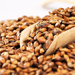 Les avantages et les inconvénients des boissons d'orge - café, décoctions