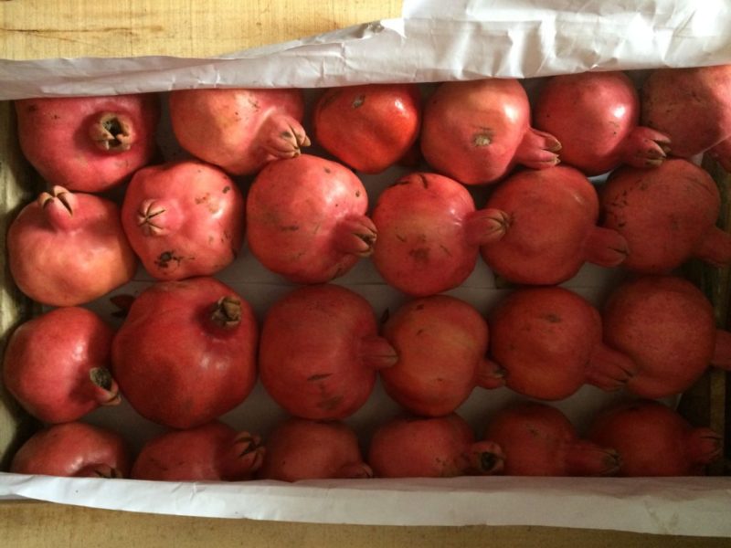 Comment bien conserver la grenade à la maison