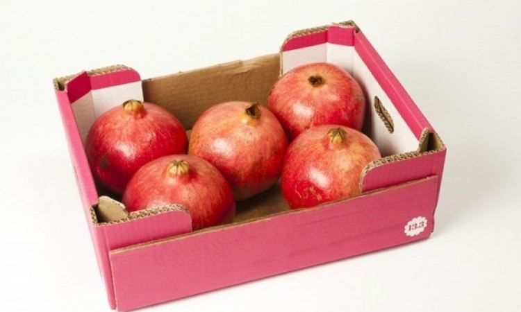 Comment bien conserver la grenade à la maison