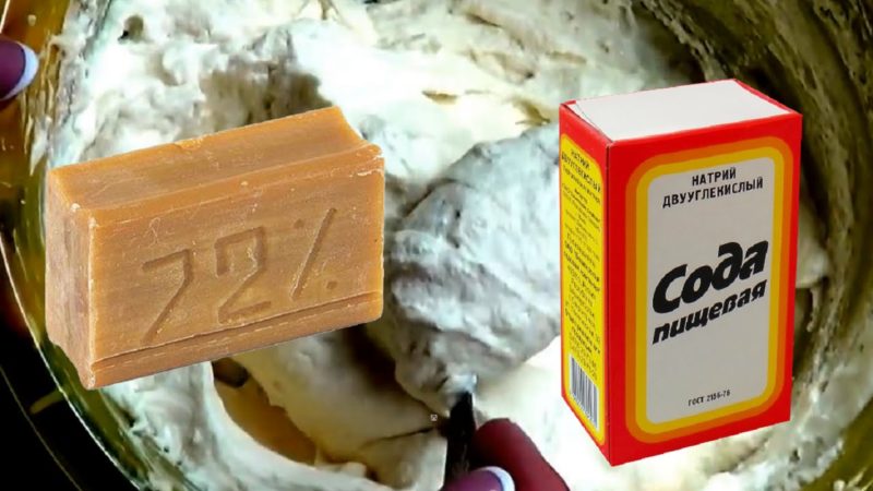 Comment traiter la rouille du cassis et éviter son apparition