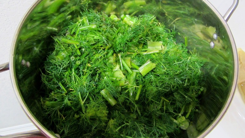 Les recettes de teinture d'aneth les plus efficaces