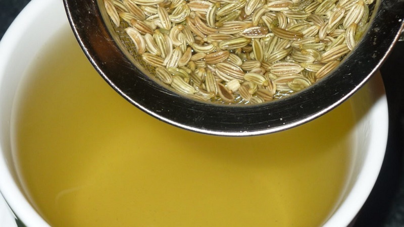 Les recettes de teinture d'aneth les plus efficaces