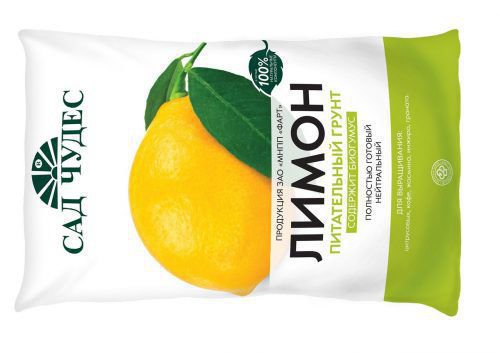 Citron ouzbek - différences et caractéristiques de la culture