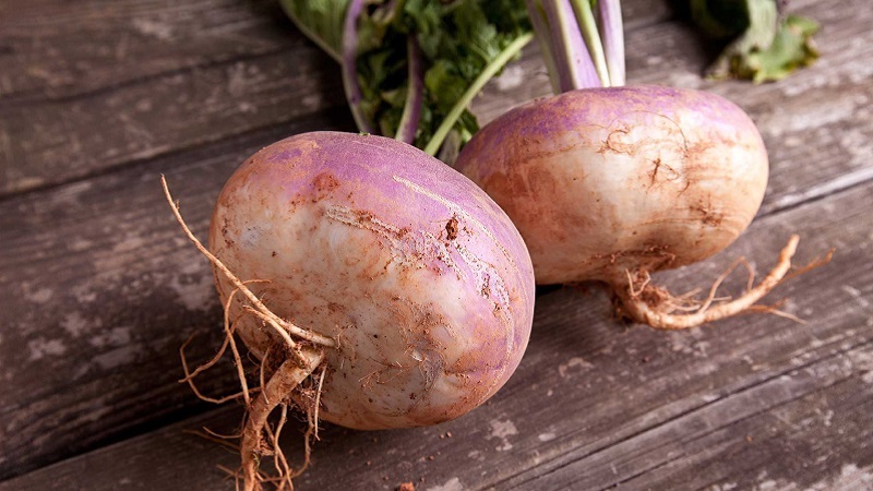 Quelle est la différence entre le rutabaga et le navet