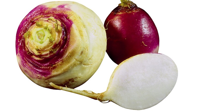 Quelle est la différence entre le rutabaga et le navet