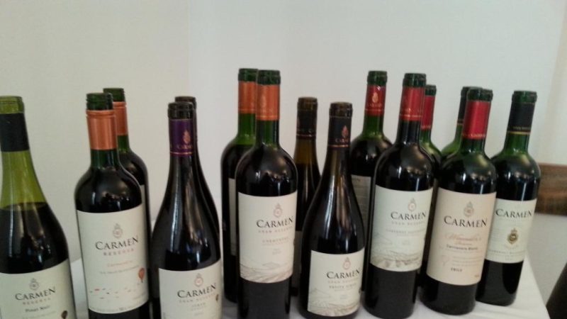 Cépage Carmenere savoureux sans prétention