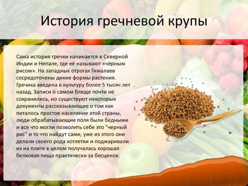 Tout sur le sarrasin: de quoi il s'agit et d'où il vient, histoire d'origine et évaluation de la qualité