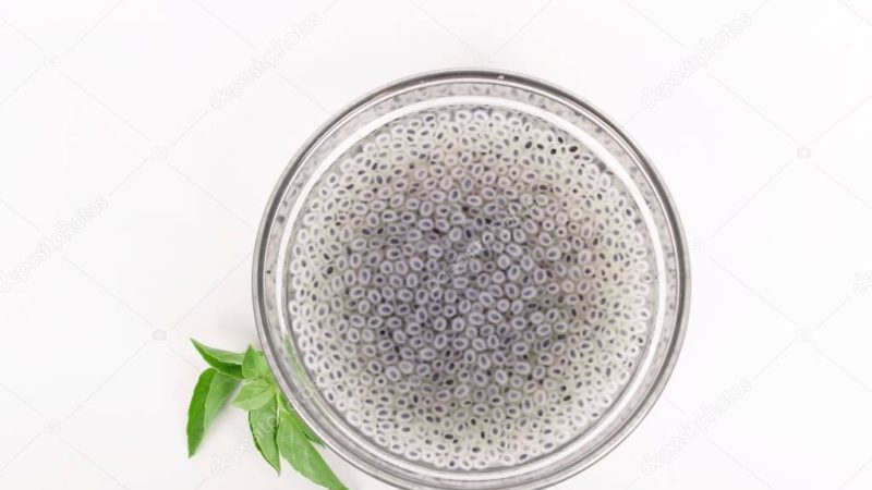 Est-il nécessaire de faire tremper les graines de basilic avant la plantation et comment bien le faire