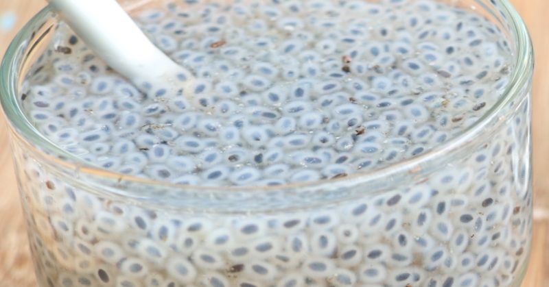 Est-il nécessaire de faire tremper les graines de basilic avant la plantation et comment bien le faire