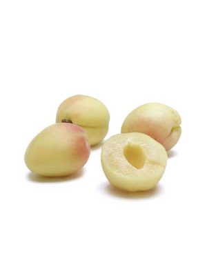 Variété de variétés d'abricot pour différentes régions