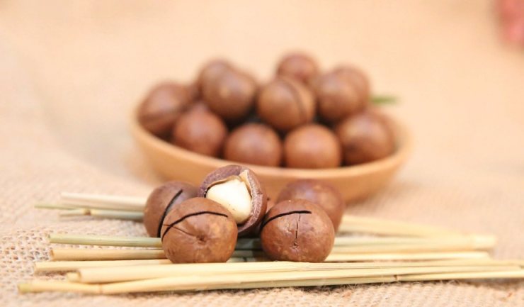 Pourquoi la noix de macadamia au chocolat est-elle bonne et comment la manger correctement