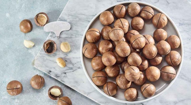 Pourquoi la noix de macadamia au chocolat est-elle bonne et comment la manger correctement