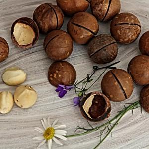 Pourquoi la noix de macadamia au chocolat est-elle bonne et comment la manger correctement