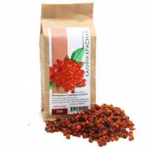 Est-il possible de sécher le viburnum et comment le faire à la maison