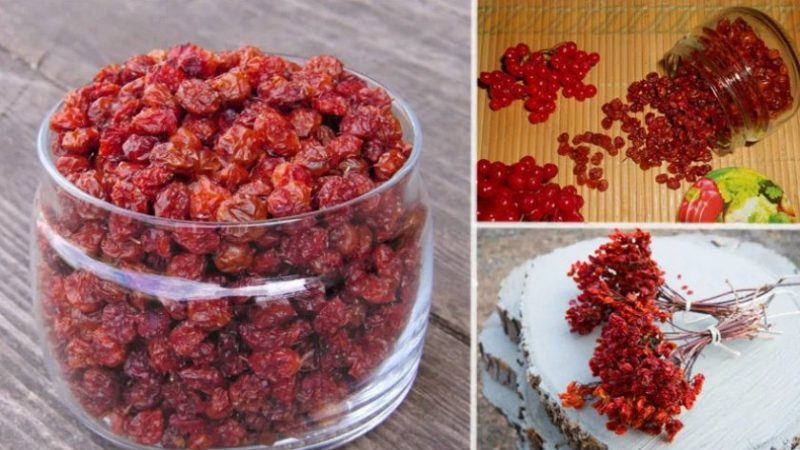 Est-il possible de sécher le viburnum et comment le faire à la maison